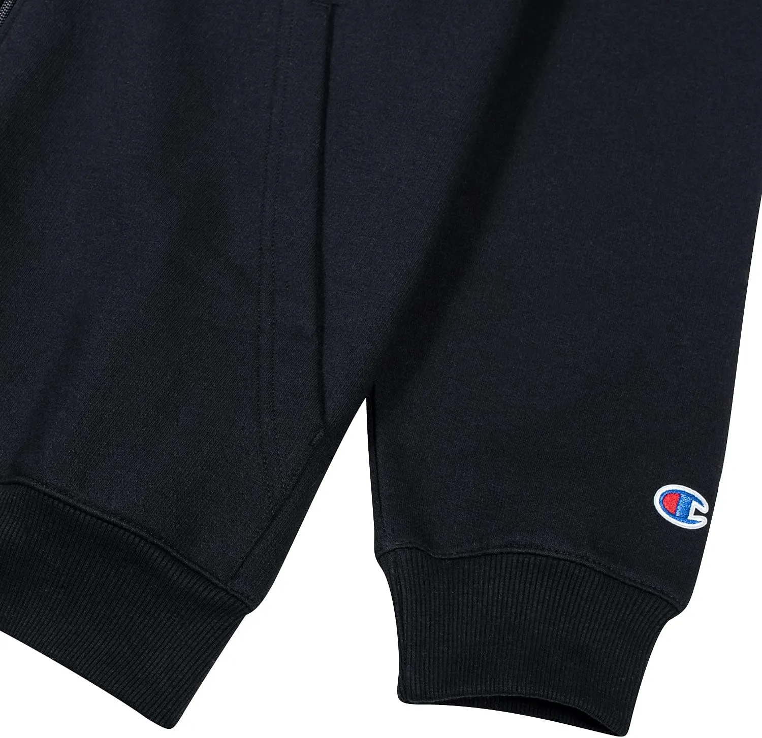 Champion Big and Tall Zip Hoodies for Men  Mens Heavyweight Zip Hoodie Jacket