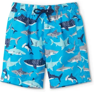 Hatley Boys Swim Board Shorts